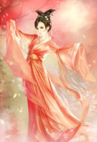 无敌传人